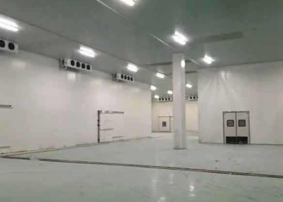 在南京建800立方氣調冷庫需要多少錢