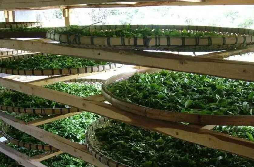 建造茶葉冷庫過程中需要注意哪些事項(xiàng)？