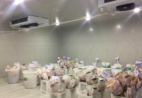 花卉小型冷庫建設多少錢一平方