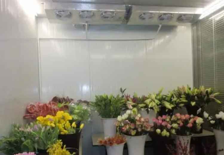 花卉小型冷庫建設多少錢一平方